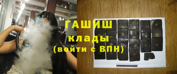 spice Богородицк