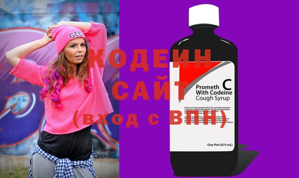 spice Богородицк
