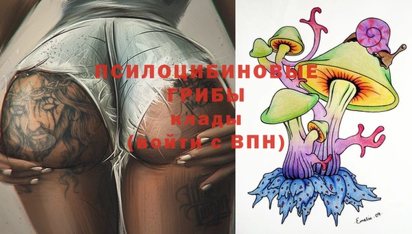 spice Богородицк