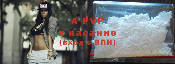 spice Богородицк
