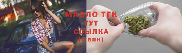 spice Богородицк