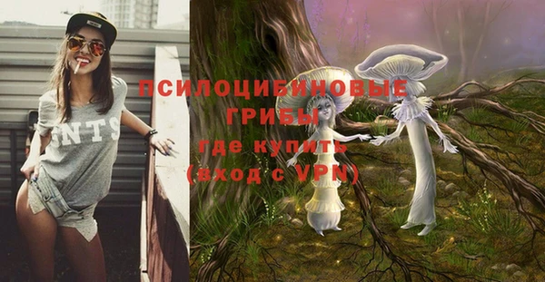 прущая мука Богданович