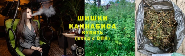 spice Богородицк