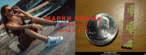 spice Богородицк