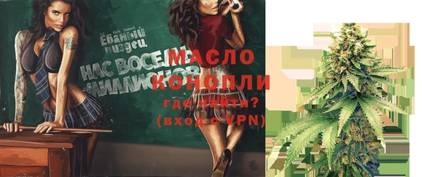 spice Богородицк