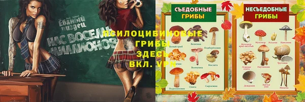 первитин Богородск