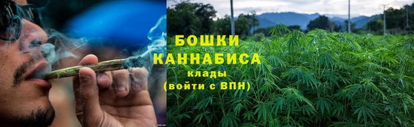 spice Богородицк