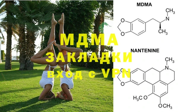 spice Богородицк