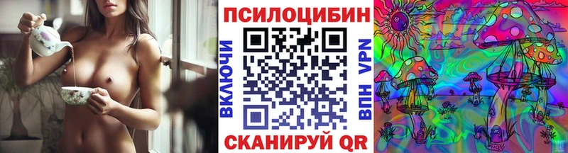 Галлюциногенные грибы Psilocybine cubensis  Буйнакск 